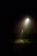 Foggy Lamps